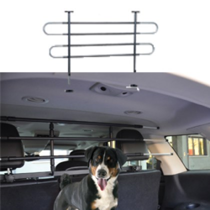 categ_dog_car_41-485