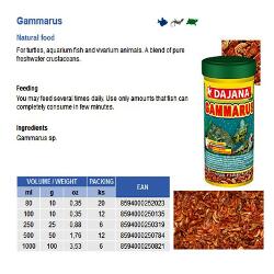 Gammarus.jpg