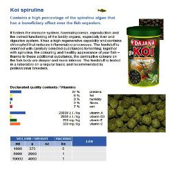 KOI_Spirulina.jpg