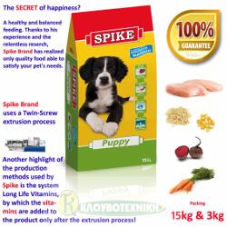 Spike_Puppy_Farmina.jpg
